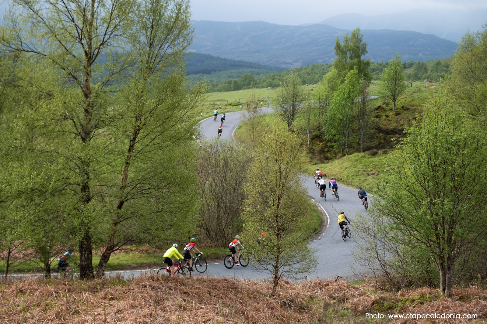 Cyclists